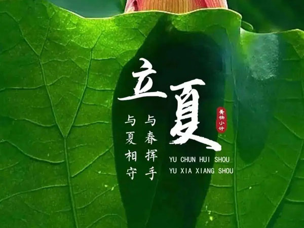 节气丨立夏,春意悄然藏,夏初盛大开场!立