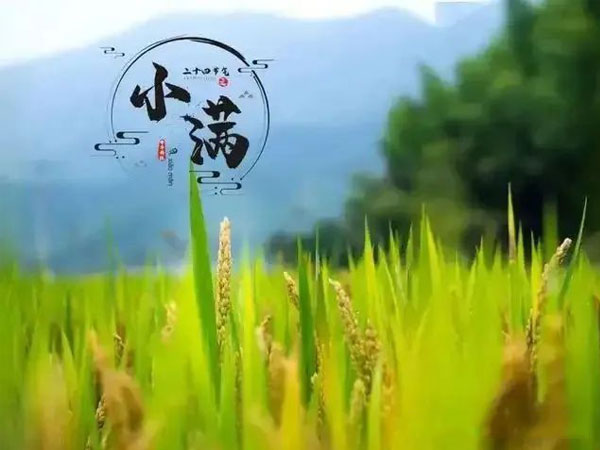 节气丨小满,万物小得盈满,时节至此芬芳!